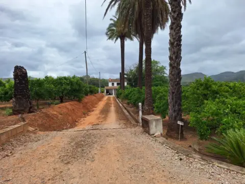 Finca rústica en Carcaixent