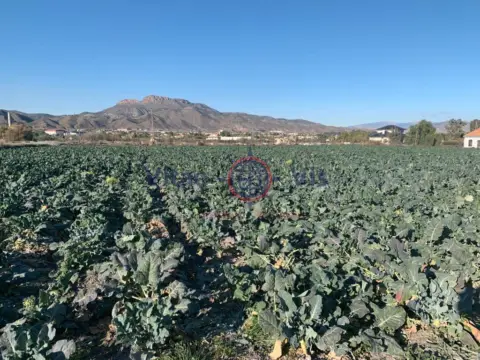 Terreno en calle