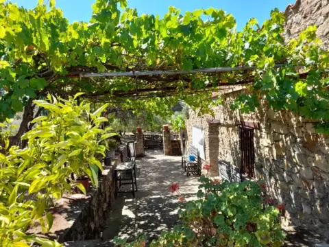 Finca rústica en San Vicente de Alcántara
