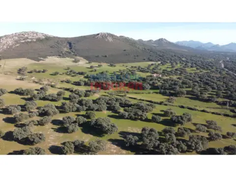 Finca rústica en Deleitosa