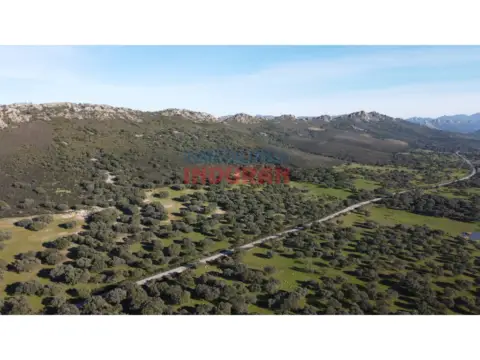 Finca rústica en Deleitosa