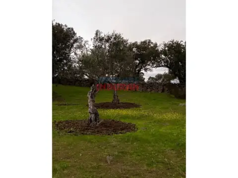 Finca rústica en Valdehúncar