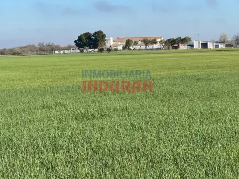 Finca rústica en Villafranca de los Caballeros