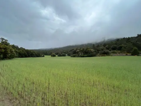 Finca rústica en El Toro