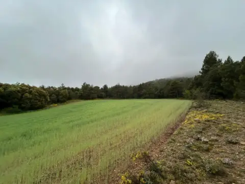 Finca rústica en El Toro