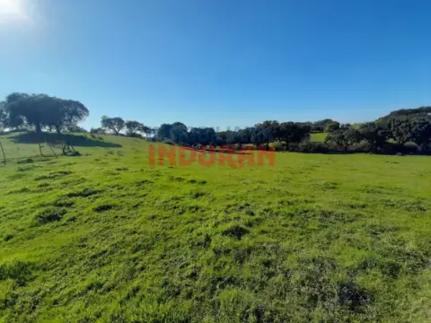 Finca rústica en Millanes