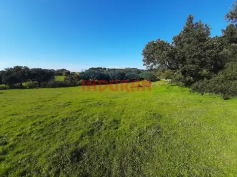 Finca rústica en Millanes