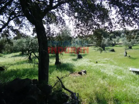 Finca rústica en Belvís de Monroy