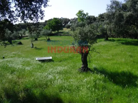 Finca rústica en Belvís de Monroy