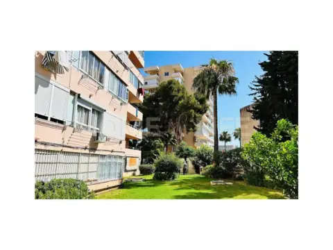 Estudio en Puerto Marina