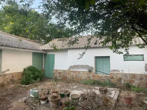 Casa en Argamasilla de Calatrava
