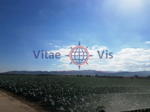 Terreno en calle Camino Casa de Las Palmeras (Hoya La)