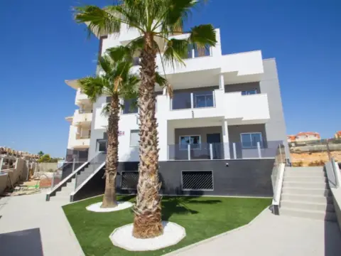 Pis – Orihuela