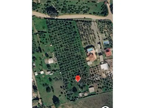 Finca rústica en Oromana