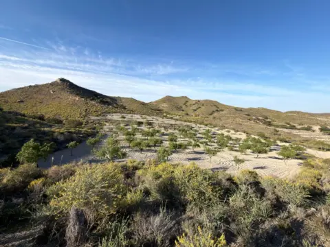 Terreno en Pedanías Oeste