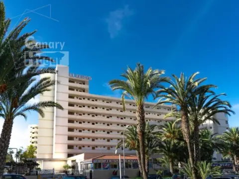 Estudio en Playa de Las Américas