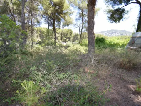 Terreno en Los Cerezos-La Mandarina-La Finca-Covatelles