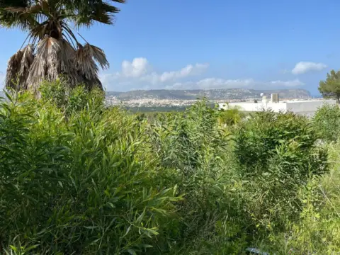 Terreno en Los Cerezos-La Mandarina-La Finca-Covatelles