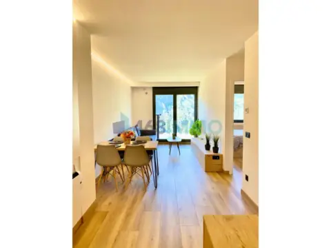 1-bedroom flat for rent in El Tarter, Canillo · 11 of 60