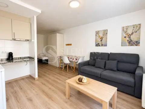 Studio for rent in Pas de la Casa, Encamp · 18 of 47