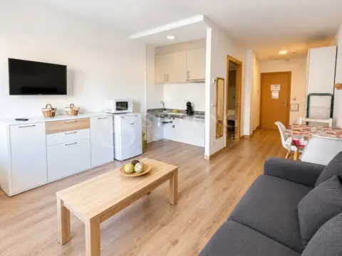 Studio for rent in Pas de la Casa, Encamp · 16 of 47
