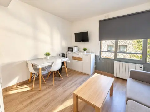 Studio for rent in Pas de la Casa, Encamp · 18 of 47