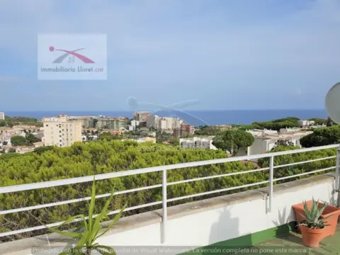 Ático en Castell d'Aro, Platja d'Aro i s'Agaró