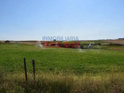 Finca rústica en Peraleda de la Mata