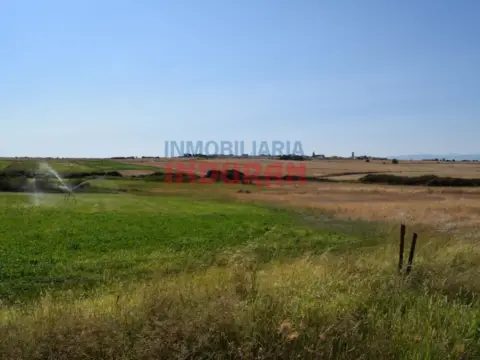 Finca rústica en Peraleda de la Mata