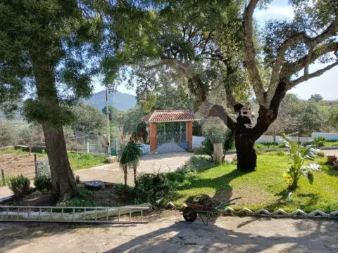 Chalet en Sur