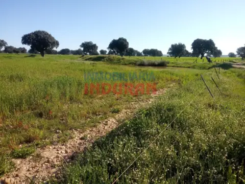 Finca rústica en Peraleda de la Mata