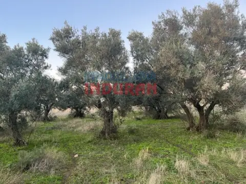 Finca rústica en Saucedilla