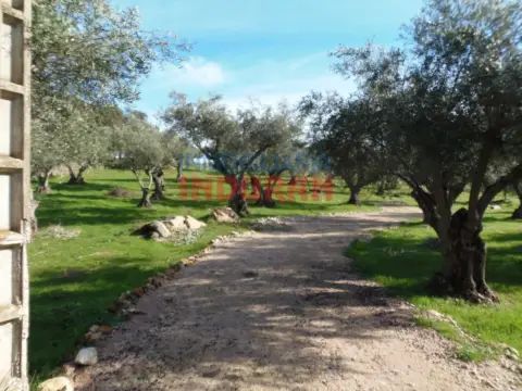 Finca rústica en Belvís de Monroy