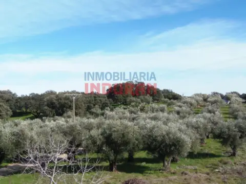 Finca rústica en Belvís de Monroy