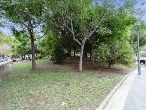 Piso en calle de la Paz, 7