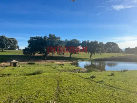 Finca rústica en Deleitosa