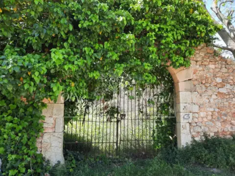Casa en Binissalem