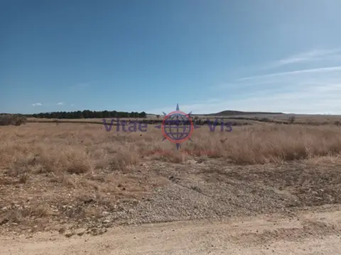 Finca rústica en calle calle Petra Gonzalez