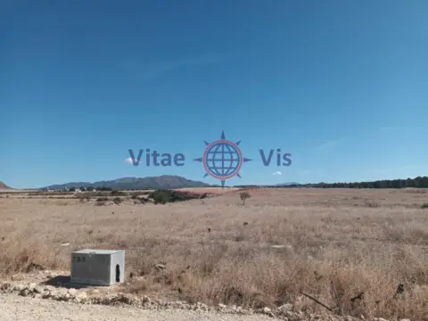 Finca rústica en calle calle Petra Gonzalez