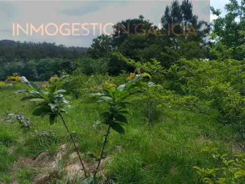 Terreno en Culleredo