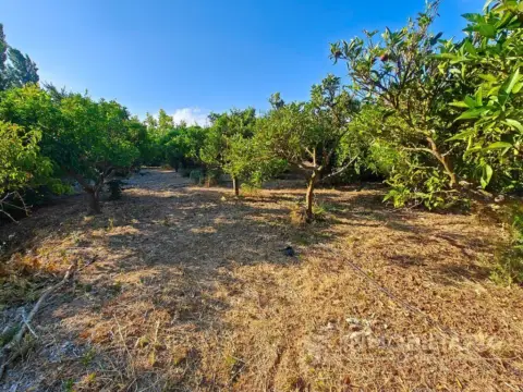 Terreno en Coín