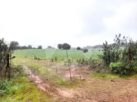 Finca rústica en Alburquerque