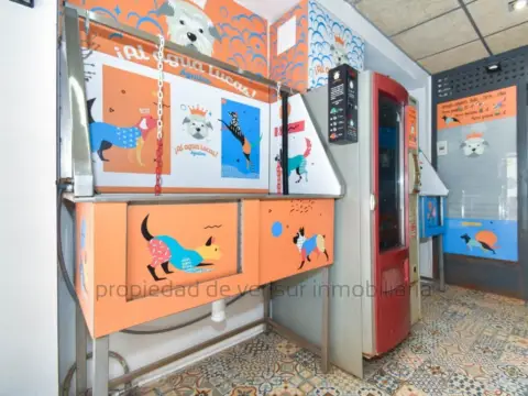 Local comercial en Centro