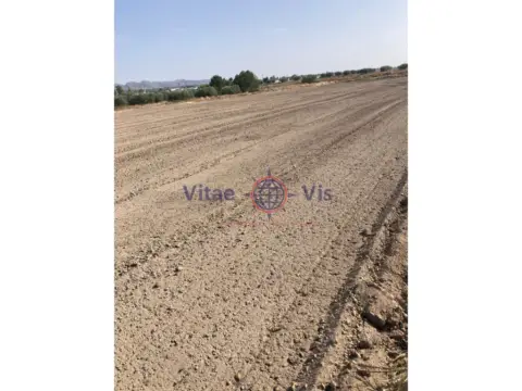 Terreno en calle Diseminados Cazalla