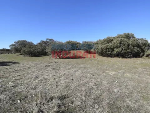 Finca rústica en Villar del Pedroso