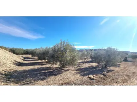 Finca rústica en Hellín