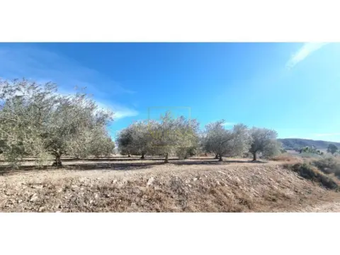 Finca rústica en Hellín