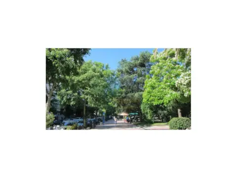 Local comercial en Centro