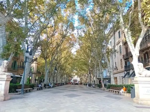 Casa en La Llotja - Born