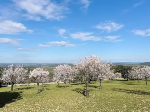 Casa en Sa Cabaneta